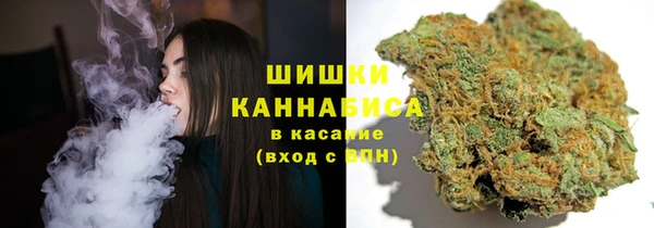 spice Верхний Тагил