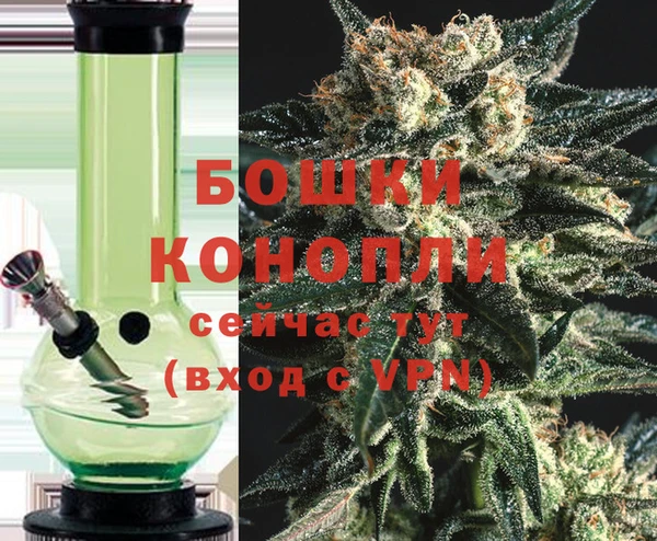 крисы Верея