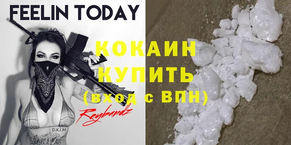 крисы Верея