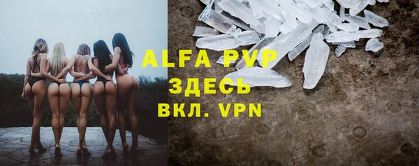 крисы Верея