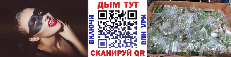 Конопля семена  Купить  Красноармейск 